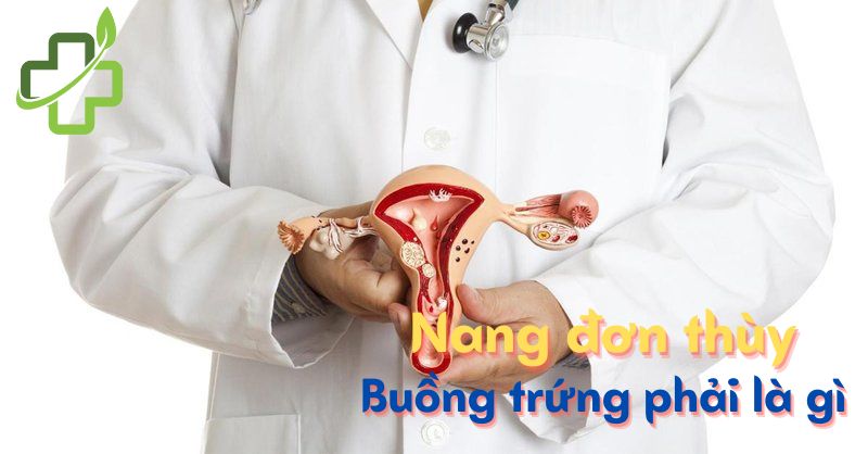 Chia sẻ: Bị nang đơn thùy buồng trứng phải có sao không?