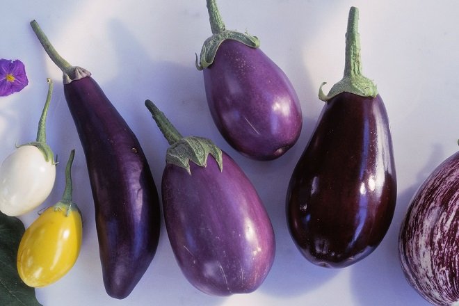 Sau sinh ăn cà tím được không? Gợi ý một số loại rau quả tốt