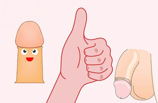 hình ảnh bao quy đầu bình thường ở người lớn