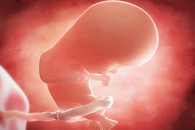 Thai 12 tuần biết trai hay gái chưa