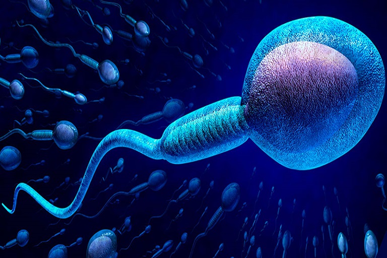 Các bệnh nam khoa anh em nam giới thường mắc phải