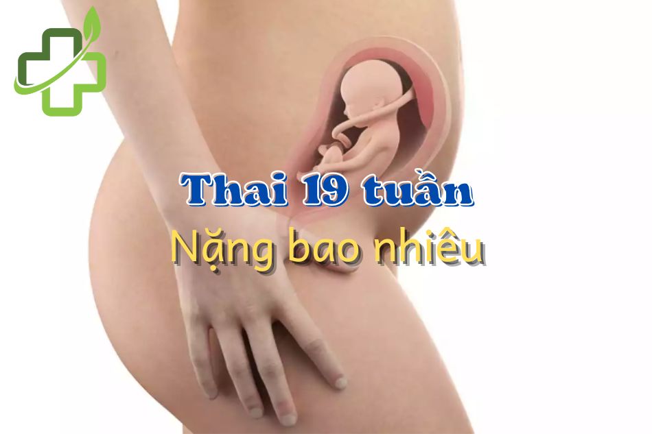 [Cẩm nang] Thai 19 tuần nặng bao nhiêu gam là chuẩn?