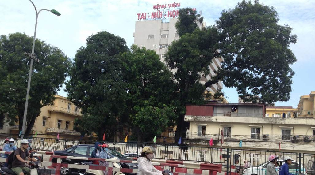 Đại chỉ bệnh viện Tai Mũi Họng Trung ương Hà Nội nằm ở đâu?