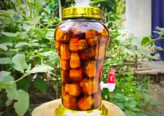 Tác dụng của quả dứa dại ngâm rượu 
