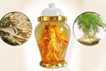 Mách bạn top 10 các loại rễ cây ngâm rượu tốt cho sức khỏe